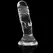 XRAY Clear Intimate Device 12 cm Transparent Flexible Jelly Model