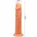 Baile Vive Intimate Model 19.8 cm Natural Color with Suction Base