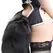 Alive Black & White Fox Tail S - Small Metal Plug with Synthetic Tail