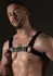 AVANZA VANTAGE 8 Core Body Harness Black PU Leather Adjustable