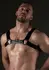 AVANZA VANTAGE 8 Core Body Harness Black PU Leather Adjustable