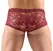 Svenjoyment Lace Design Transparent Men's Pants Dark Red L