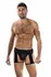 ENVY Midnight Stride Garters Black OS - Elegant Lace Leg Harness