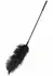 HIDDEN DESIRE Double Feather Tickler Black - Dual-Ended Feather Wand