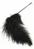 HIDDEN DESIRE Double Feather Tickler Black - Dual-Ended Feather Wand