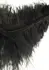 HIDDEN DESIRE Double Feather Tickler Black - Dual-Ended Feather Wand