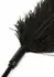 HIDDEN DESIRE Double Feather Tickler Black - Dual-Ended Feather Wand