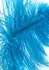 HIDDEN DESIRE Double Feather Tickler Black - Dual Natural Feather Wand