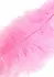 HIDDEN DESIRE Double Feather Tickler Black - Dual Natural Feather Wand