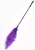HIDDEN DESIRE Double Feather Tickler Black - Dual-Ended Sensory Tool