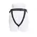 Sportsheets Aurora High Waisted Harness Adjustable Black 60” Max