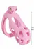 EXTREME by HIDDEN DESIRE Penis Prison Regular ABS Cage System Black