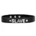Ouch! PU Leather Decorative Collar with Crystal Accents - Black