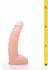 Hung System George 22 cm Anatomical Model with Suction Base