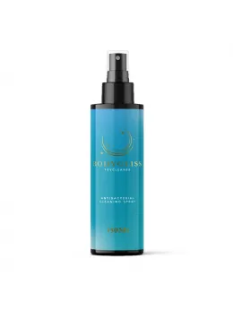 BodyGliss Toy Cleaner 150ml - Hygienic Cleaning Spray for Accessories