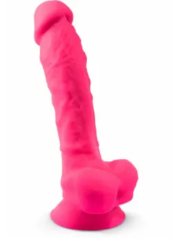 Silex-D Model 1 9