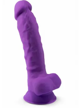 Silex-D Model 7