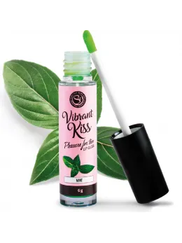 Secret Play Vibrant Kiss Mint Lip Gloss - Refreshing Tingle, 6g