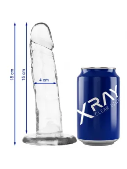 XRAY Clear 18 cm Transparent Intimate Model with Suction Base