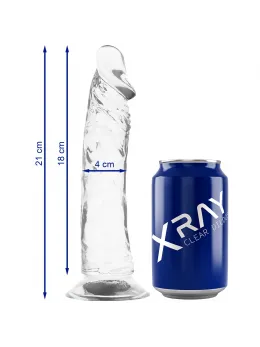 XRAY Transparent Intimate Model 21 cm x 4 cm Jelly Material, Suction Base
