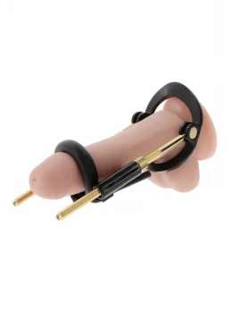 HIDDEN DESIRE Fusion X Basic Set - Adjustable Intimate Training System